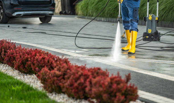 Best Vinyl Siding Pressure Washing in Iuka, MS