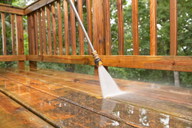 Best Driveway Cleaning and Restoration in Iuka, MS